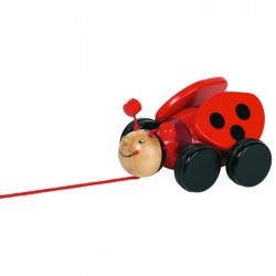 Wooden ladybug toy to shoot, games for child