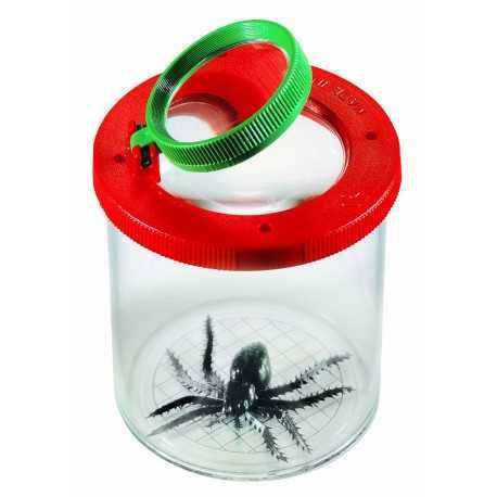 Loupe pour voir les insectes