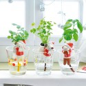 Kits d'horticulture fraise des bois ou basilic, noël