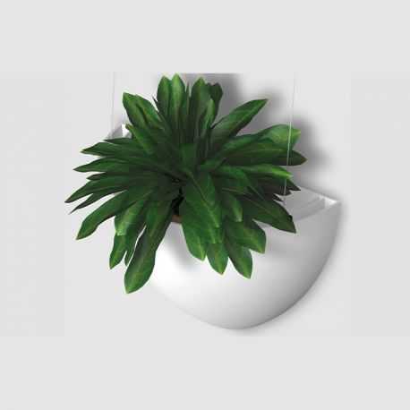 Botaniq, cache pot de fleur pour cimaise