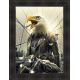 Eagle on a motorbike painting by Sylvain Binet 50x70