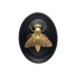 Golden bee on black frame