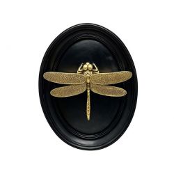 Golden dragonfly on black frame