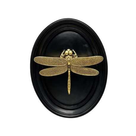 Golden dragonfly on black frame