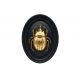 Golden Beetle black frame